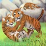 Occupe toi des bébés tigres